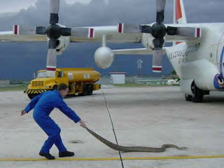 Illustration for article titled The Real-Life Version Of Lost's Airplane Freakery